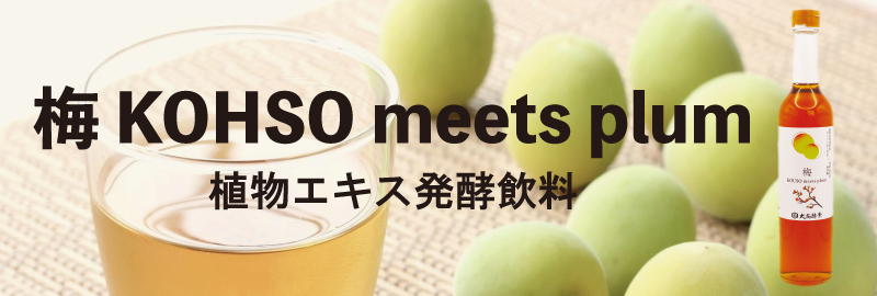 梅 KOHSO meets plum
