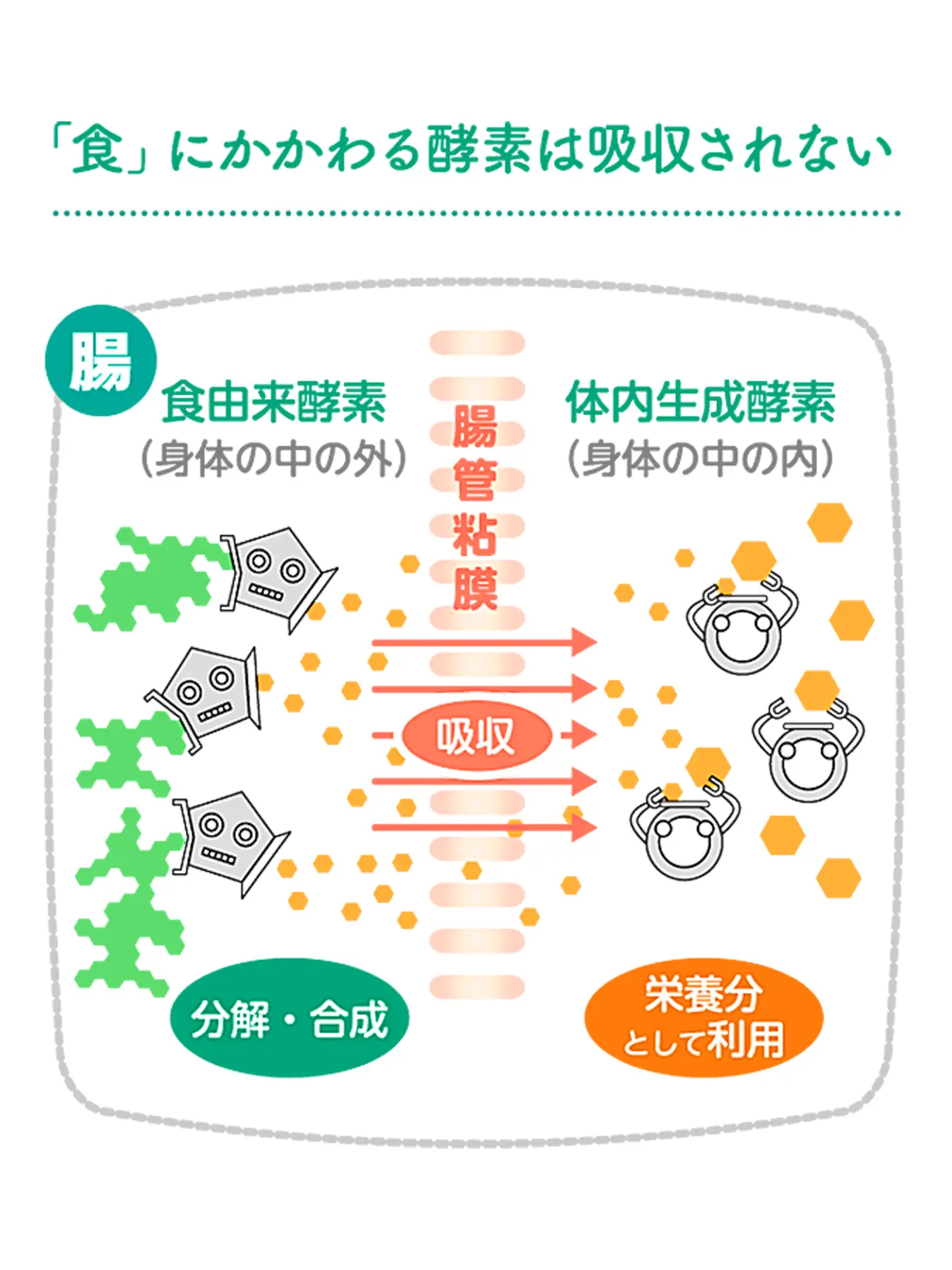 食生活への影響について4